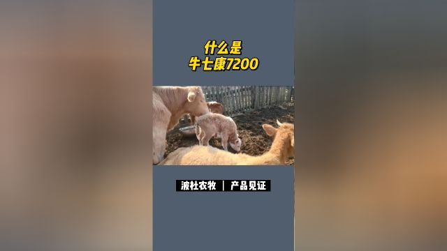 全方位满足营养需求, 促进犊牛健康快速成长.