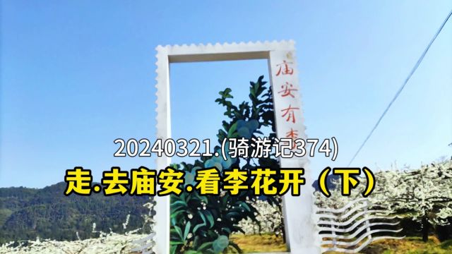 20240321.(骑游记374).走,去宣汉庙安.看李花开.(下).