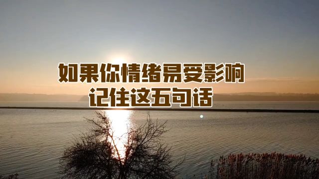 如果你的情绪易受影响,记住这五句话