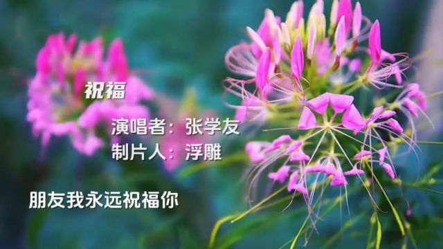 张学友演唱的《祝福》,经久不衰的歌曲.