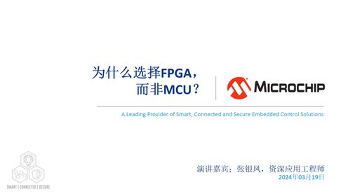 为什么选择FPGA，而非MCU？网上研讨会