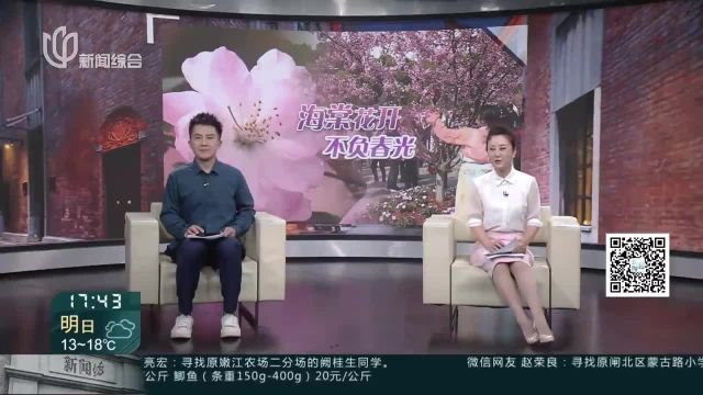 千余株海棠春日争艳 带来“季节限定”园林风光