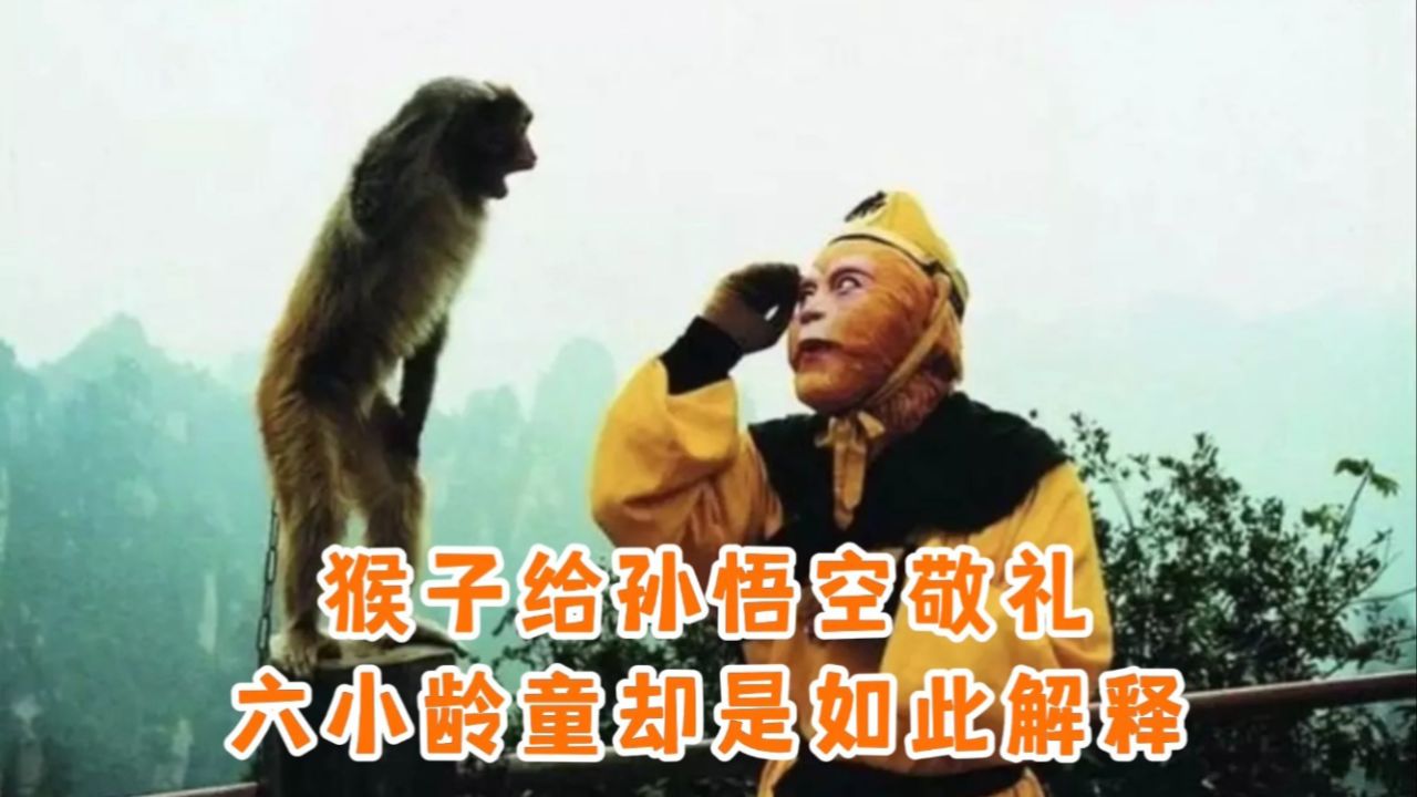 这张猴子敬礼的照片有两个版本,一处细节引发关注,六小龄童如此解释