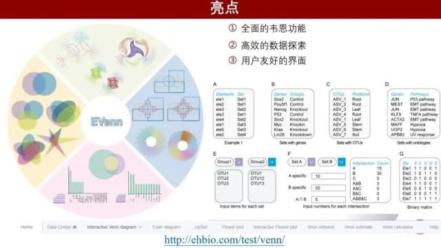 iMeta | 最全可视化韦恩图和集合图工具EVenn使用手册