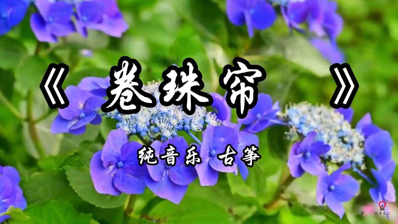 《卷珠帘》纯音乐完整版#纯音乐 #背景音乐 #前奏一响拾起多少人的