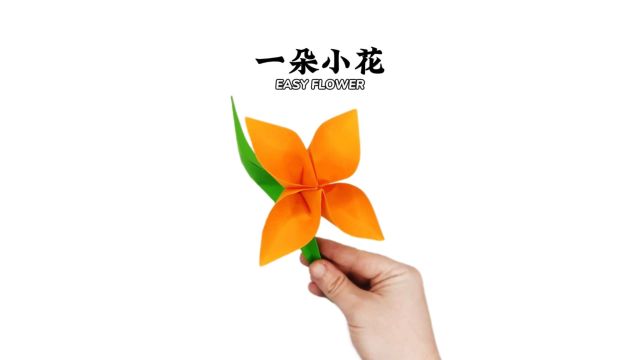 【一朵小花】春天就是和花草告白的季节……