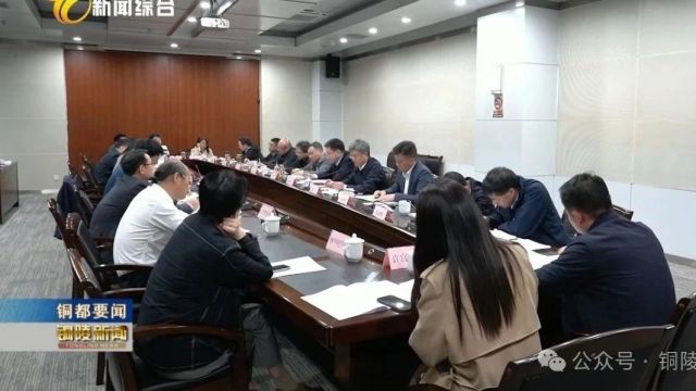 市政协“铜文化品牌打造和产业发展”座谈会召开