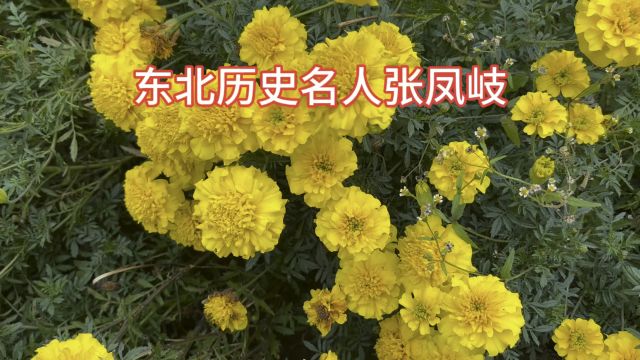 东北历史名人张凤岐