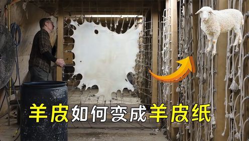 羊皮是如何做成羊皮纸的？过程长久又繁琐，一起见识下吧_高清1080P在线观看平台_腾讯视频