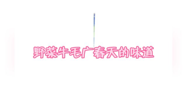 “牛毛广”学名紫萁、又称东北薇菜、野豌豆、俗称牛毛广你吃过吗