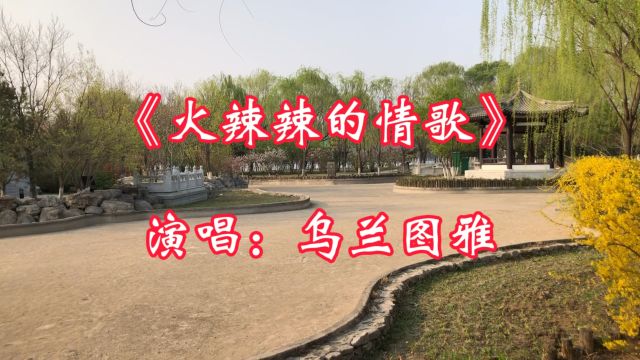 经典歌曲《火辣辣的情歌》,乌兰图雅演唱