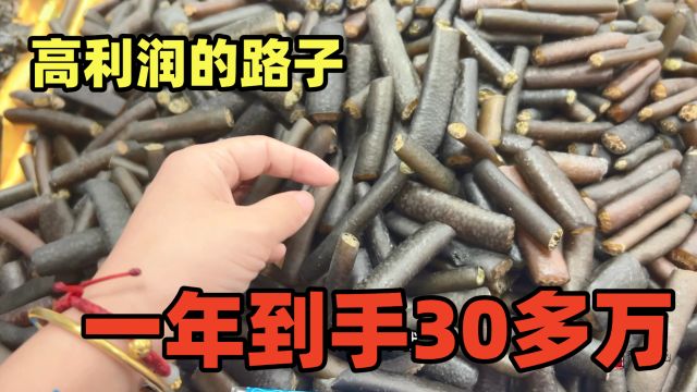 高利润的好路子,一斤卖198元,好赚钱,去干一年30多万轻松