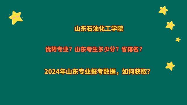 山东石油化工学院,山东考生多少分?2024山东专业报考数据