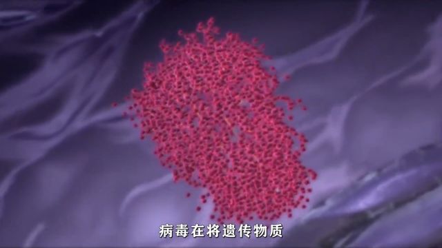 逆转录病毒:HIV感染细胞的过程