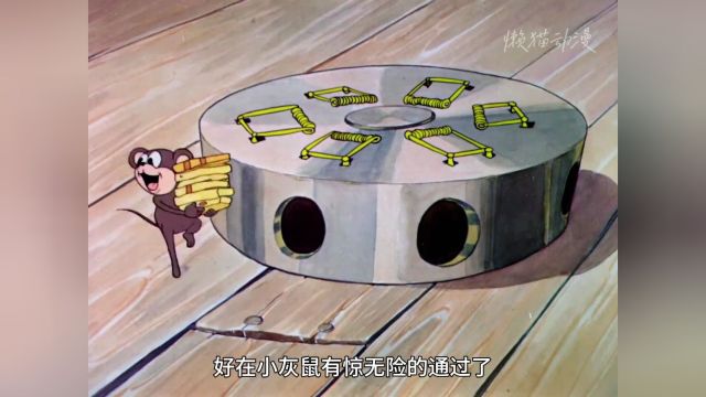 猫鼠大战:史上最萌捕猎与反捕猎故事