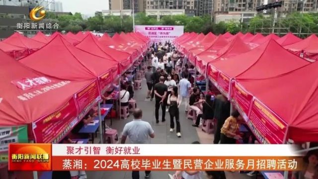 蒸湘:2024高校毕业生暨民营企业服务月招聘活动