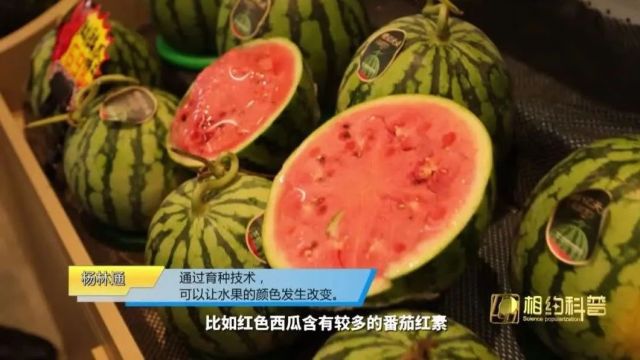 相约科普 | 水果的色彩由什么决定?同种水果为什么不同颜色?一起走进缤纷水果的世界→