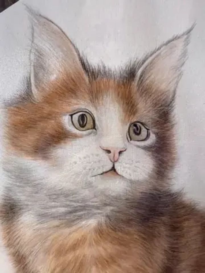 双面绢布可爱猫咪#墨谷书画吴文忠 #画一只喵 #绘画过程分享