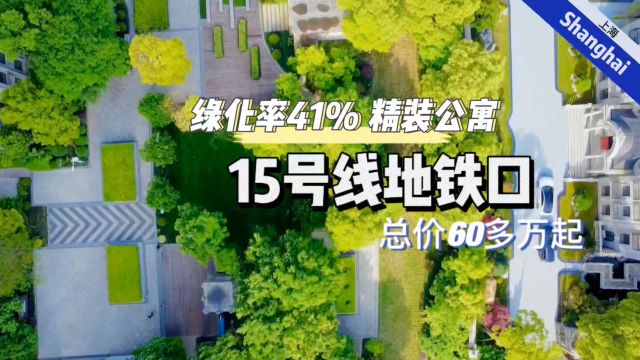 15号线地铁口精装公寓,总价60多万起,30分钟左右徐家汇、古北.虹桥