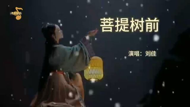 佛音禅语,佛音悠扬,经典禅音佛曲《菩提树前》MV版,制作人:朱义伟