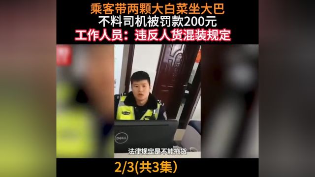 乘客带白菜坐大巴车被罚款#大巴车#白菜萝卜 2