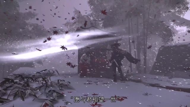 “他朝若是同淋雪 此身也算共白头”