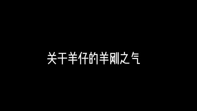 江山 羊仔吃的是羊肉穿的是羊皮名字叫羊仔浑身“羊刚之气”