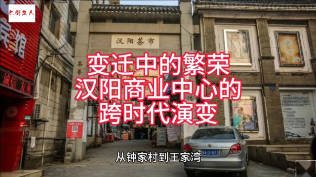 变迁中的繁荣,汉阳商业中心的跨时代演变