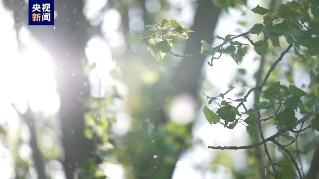 超越时代的大智慧、大勇气