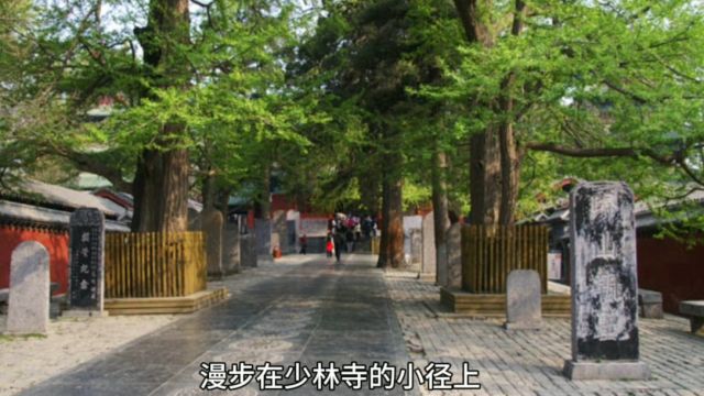 少林寺,禅宗和中国功夫的发祥地,有“禅宗祖庭,功夫圣地”之称,被誉为“天下第一名刹”