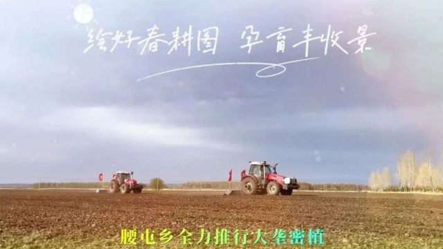 『乡村振兴』按下“农忙键”——孙吴县腰屯乡推进大垄密植 助力粮食增产丰收