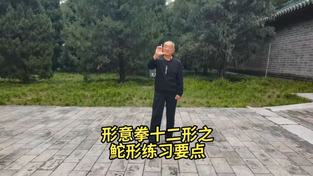 形意拳十二形之鮀形练习要点:形意拳张发智之功夫(72)