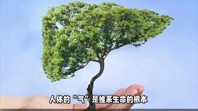 肝气郁结是什么?