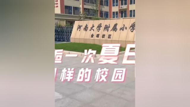 “云游”夏意盎然的河南大学附小金明校区校园,邂逅夏日,看蔷薇花开.开封日报社全媒体记者王寅龙