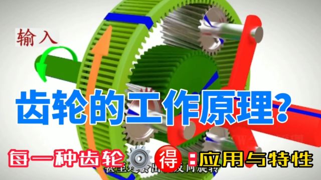 齿轮的工作原理是什么?每一种齿轮的应用特性是什么?