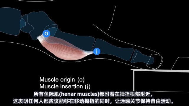 肖邦方法第六课:拇指