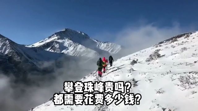 攀登珠峰多少钱