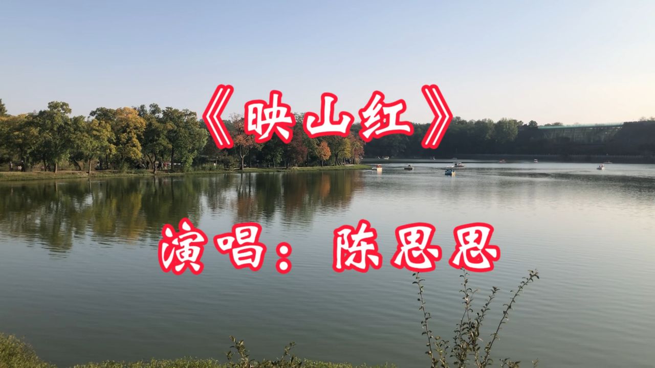 经典老歌《映山红》,陈思思演唱,歌声宛如天籁