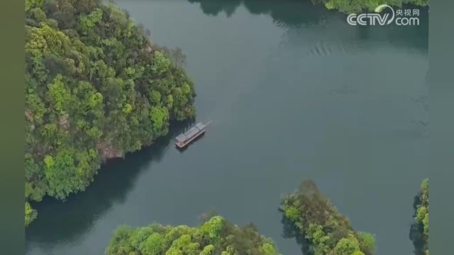 湖南张家界:错峰不错风景,节后旅游市场持续火热