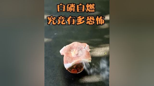 白磷燃烧有多可怕?将它放在猪肉上,不可思议的一幕发生了