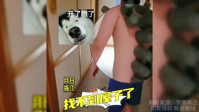 什么是真爷们儿?拔着火罐找不到自己屋像哥斯拉一样乱跑