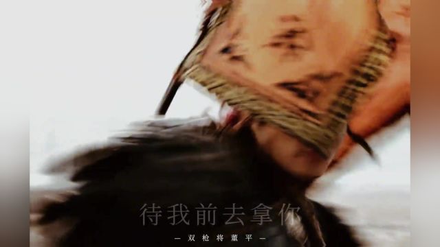 双枪将董平