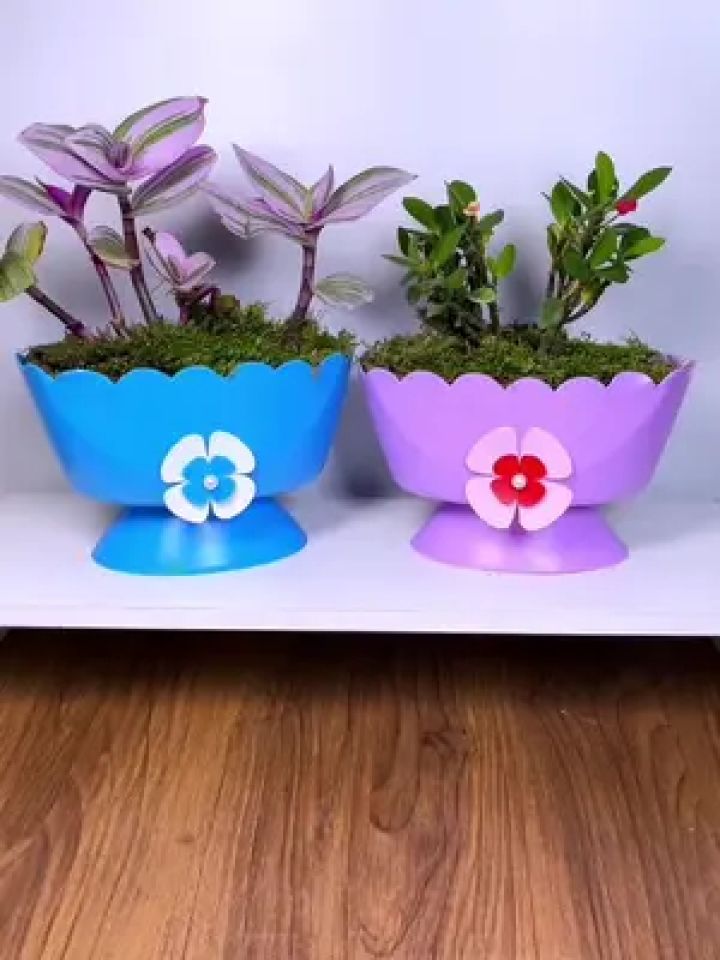 洗衣液瓶别再当废品扔了做花盆吧 #创作灵感 #变废为宝 #手工 #自制