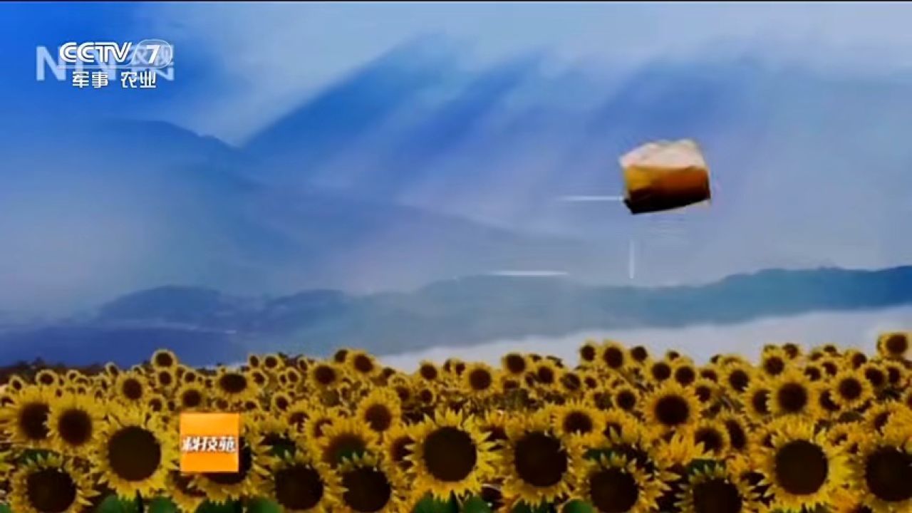 cctv-7军事农业频道(农业节目)2012高标清版id宣传片合集