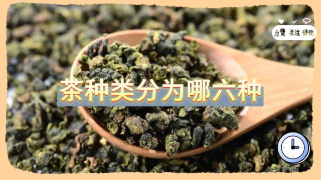 茶种类分为哪六种