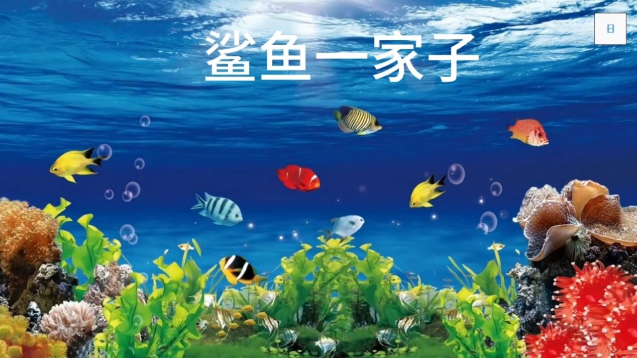 鲨鱼一家子