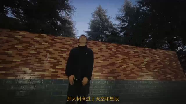 星月夜MV