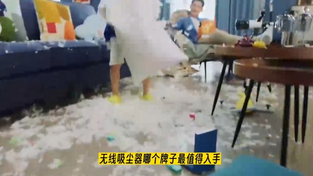 吸尘器哪个牌子好,市场热销的十大吸尘器品牌推荐.