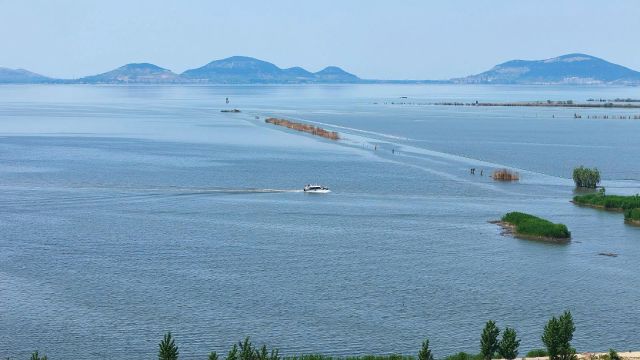 好客山东大美东平|渔家风情小镇老湖镇最美五月天