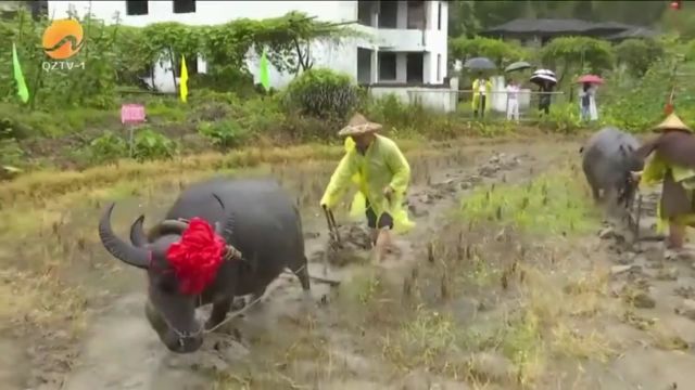 德化:李溪农耕文化 吸引八方宾朋